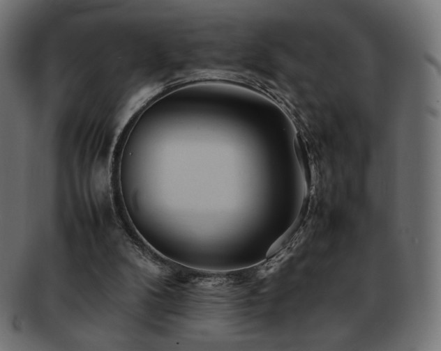 X0000092270104200709141209