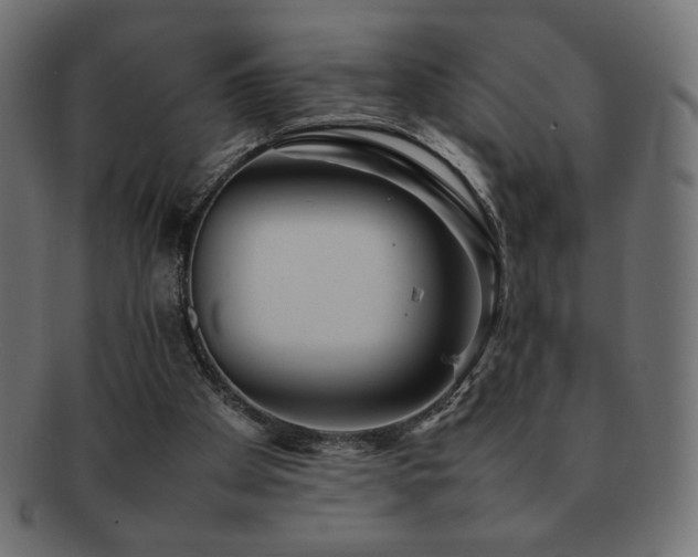 X0000092270105200709141209