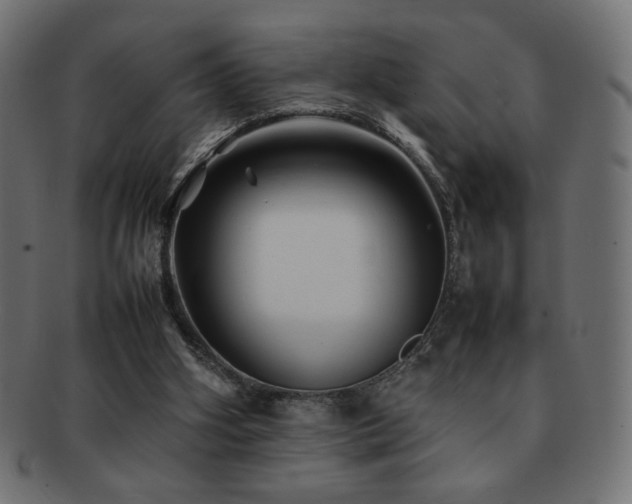 X0000092270106200709141209