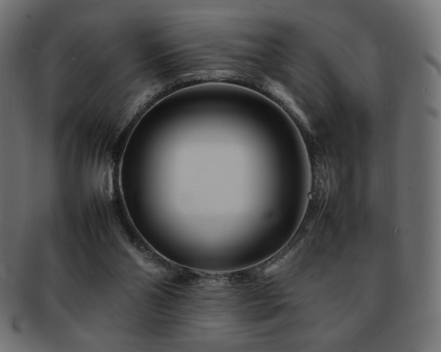 X0000092270110200709141209