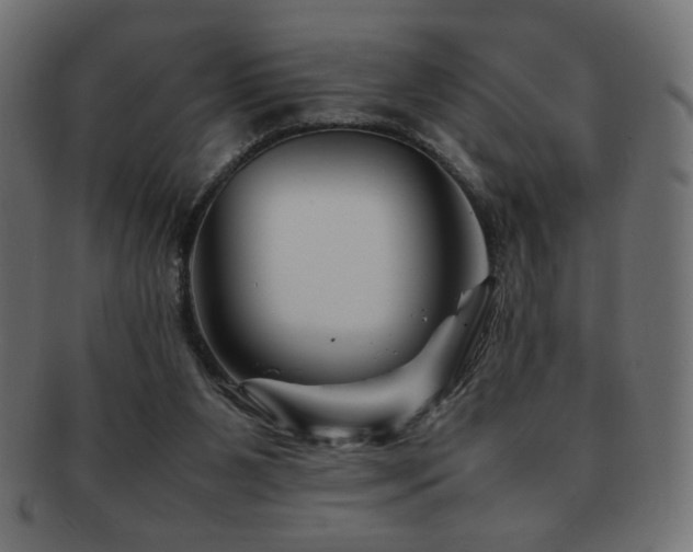 X0000092270111200709141209