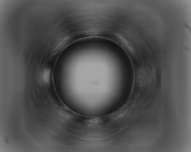 X0000092270118200709141209