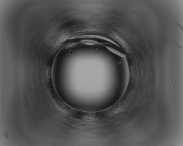 X0000092270119200709141209