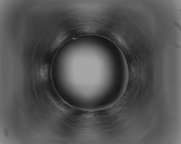 X0000092270120200709141209