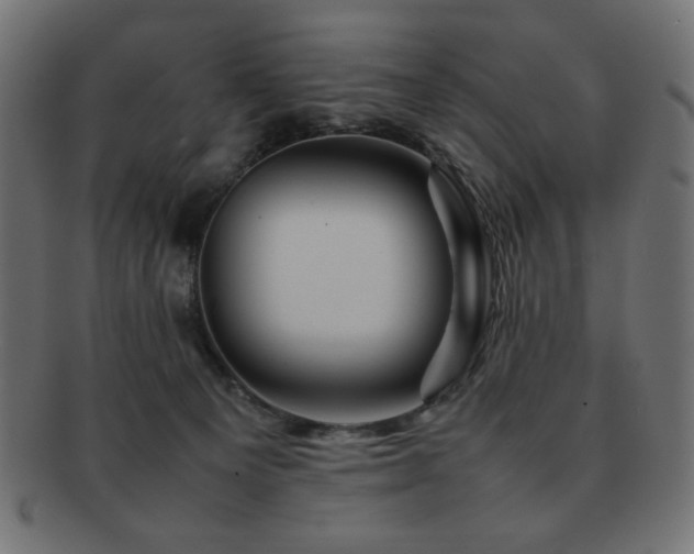 X0000092270129200709141209