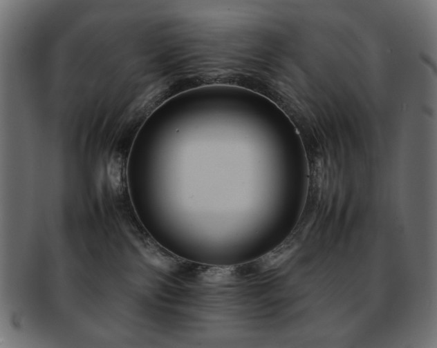 X0000092270138200709141209
