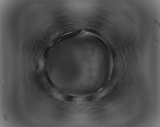 X0000092270139200709141209