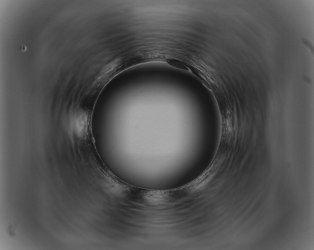 X0000092270142200709141209
