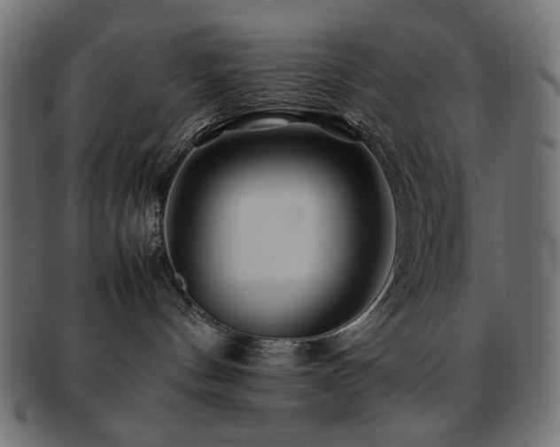X0000092270144200709141208