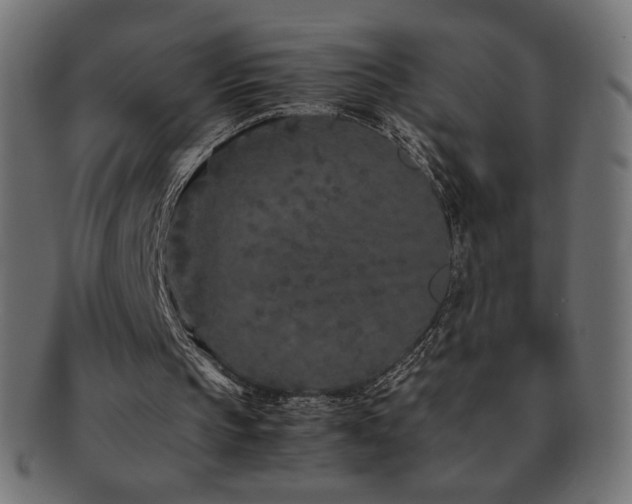X0000092270145200709141208