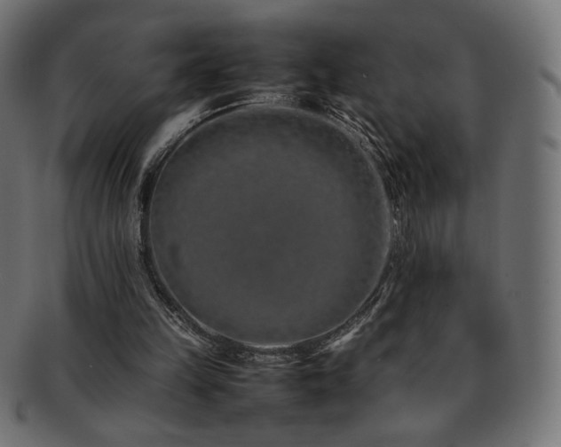 X0000092270149200709141208