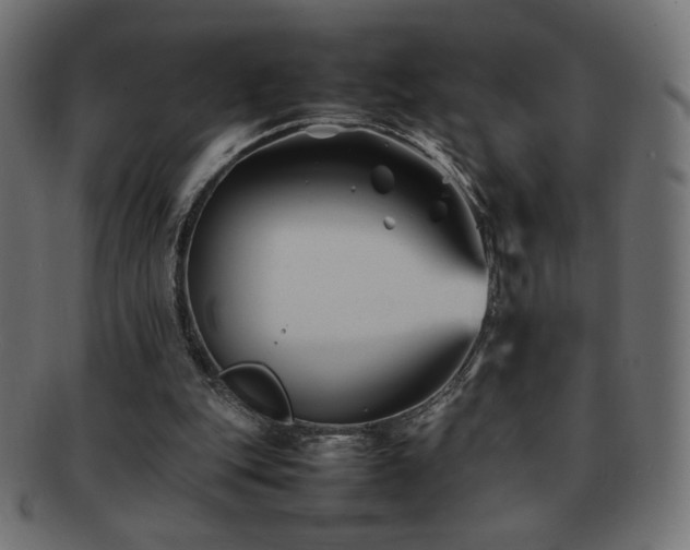 X0000092270151200709141208