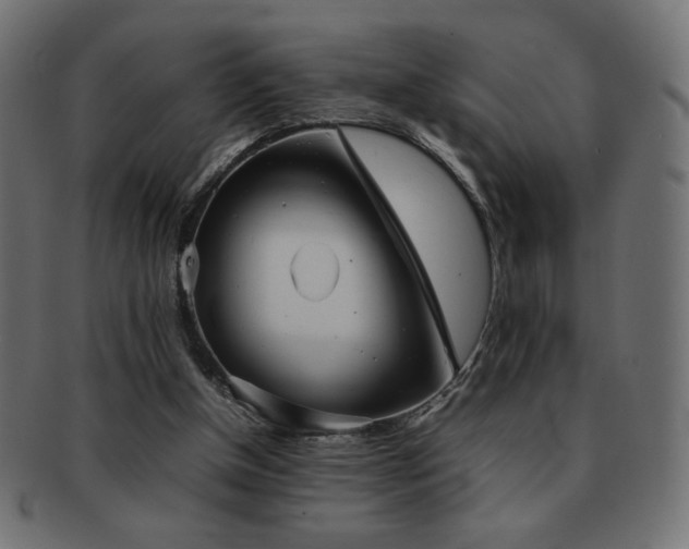 X0000092270154200709141208