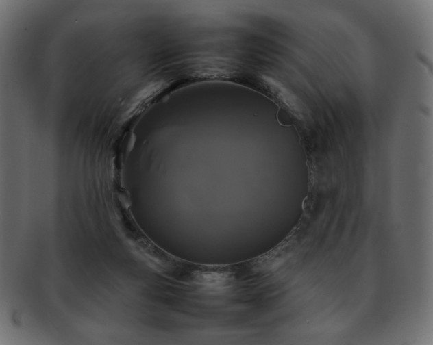 X0000092270163200709141208