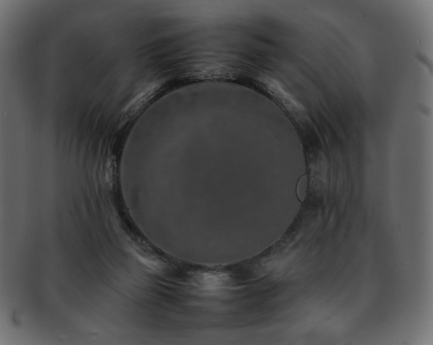 X0000092270165200709141208