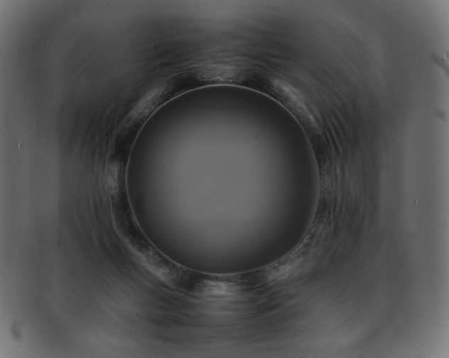 X0000092270167200709141208