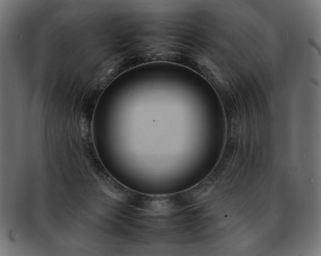 X0000092270173200709141208