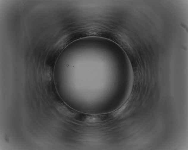 X0000092270174200709141208