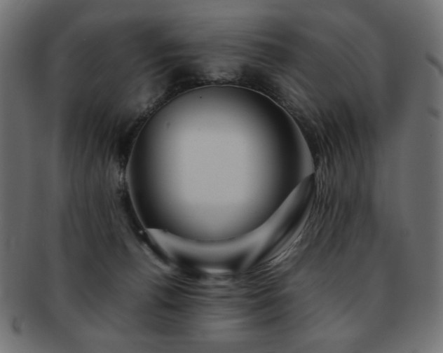 X0000092270176200709141208