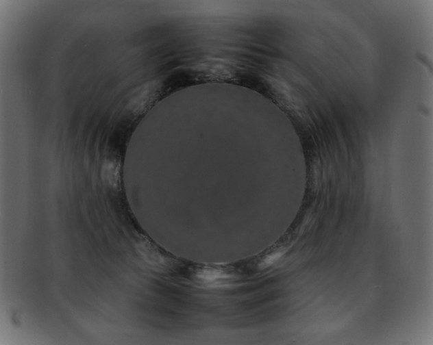 X0000092270177200709141208
