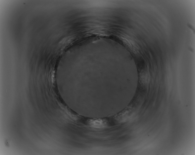X0000092270181200709141208