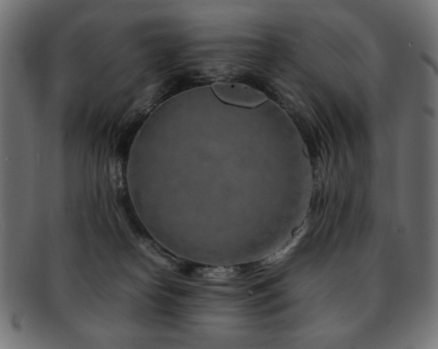 X0000092270182200709141208