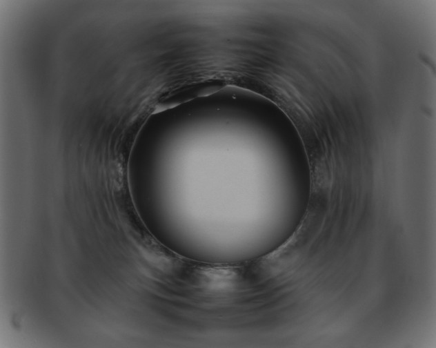 X0000092270183200709141208