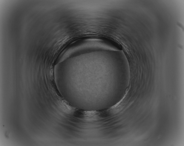 X0000092270192200709141208