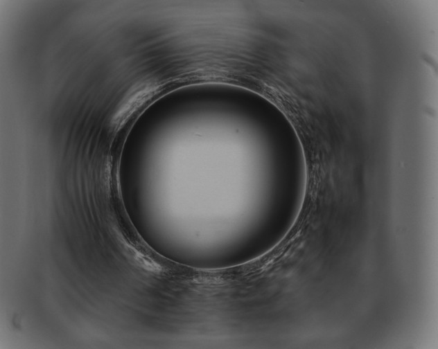 X0000092270194200709141208