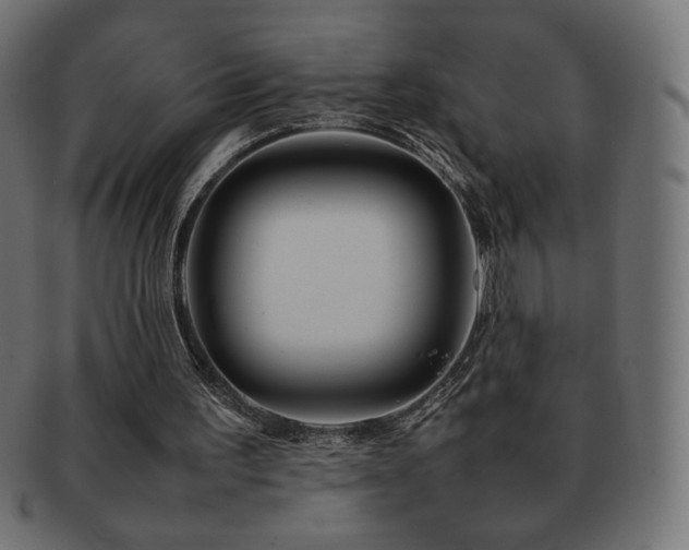 X0000092270195200709141208