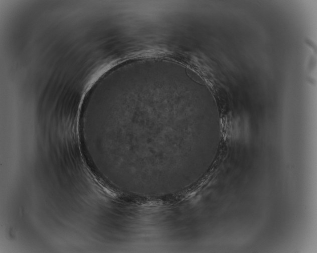 X0000092270196200709141208