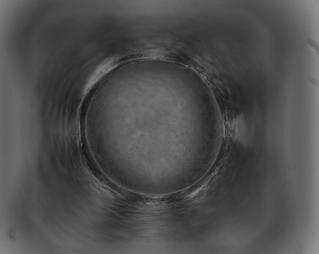 X0000092270198200709141208