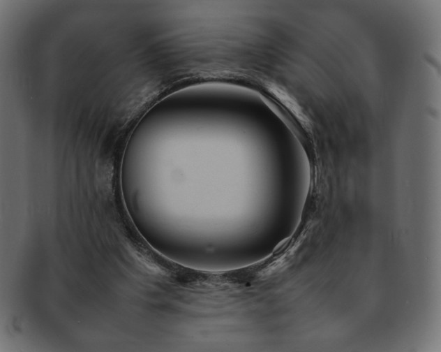 X0000092270201200709141207