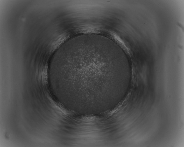 X0000092270202200709141207