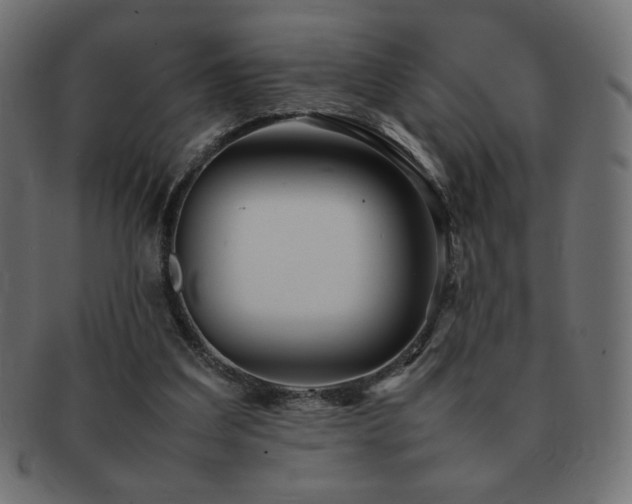 X0000092270203200709141207
