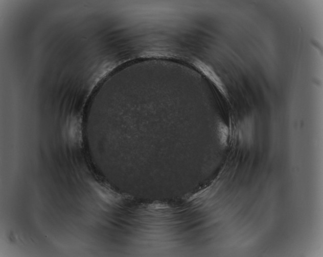 X0000092270204200709141207