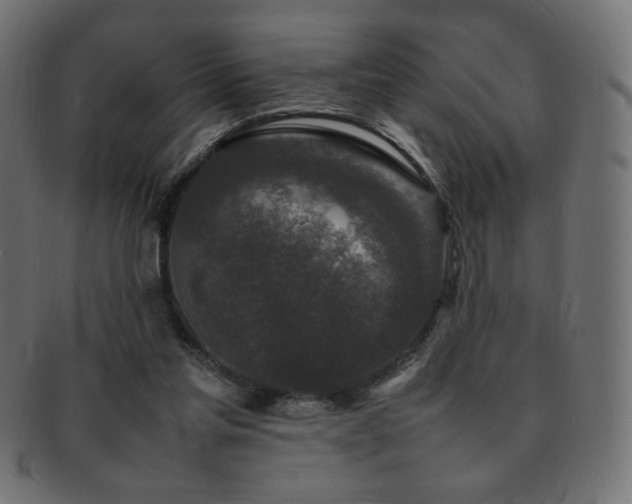 X0000092270205200709141207