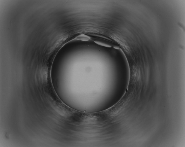 X0000092270206200709141207