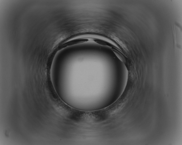 X0000092270207200709141207