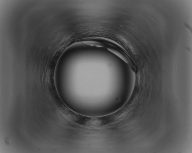 X0000092270217200709141207