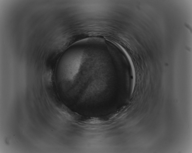 X0000092270219200709141207