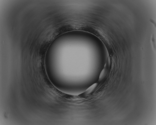 X0000092270221200709141207