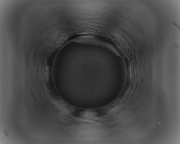X0000092270223200709141207