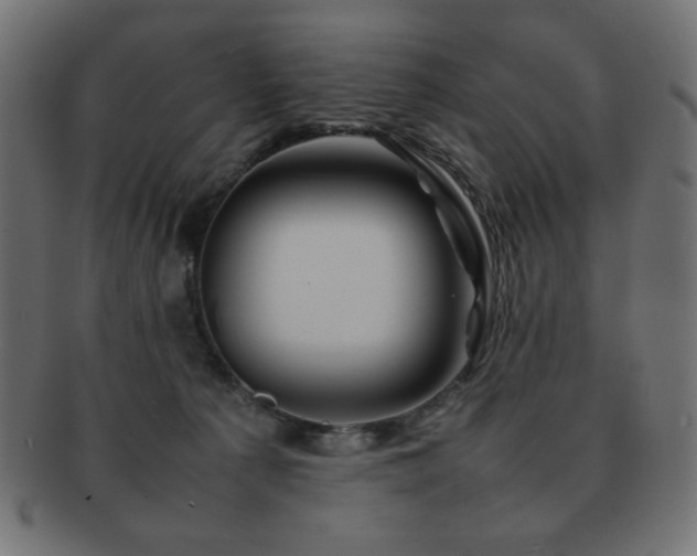 X0000092270225200709141207
