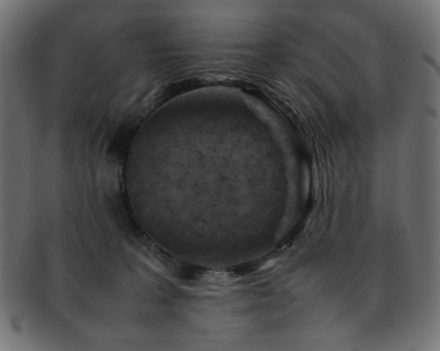 X0000092270227200709141207