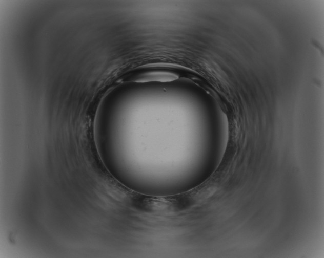 X0000092270229200709141207