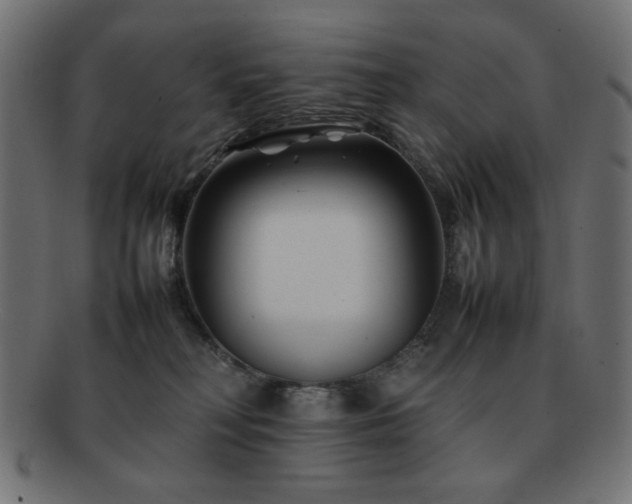X0000092270230200709141207