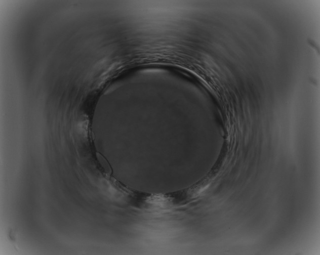 X0000092270231200709141207
