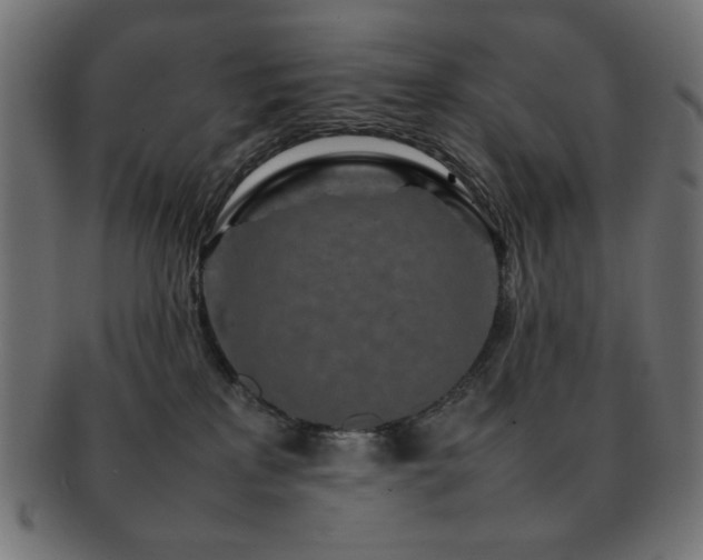 X0000092270233200709141207