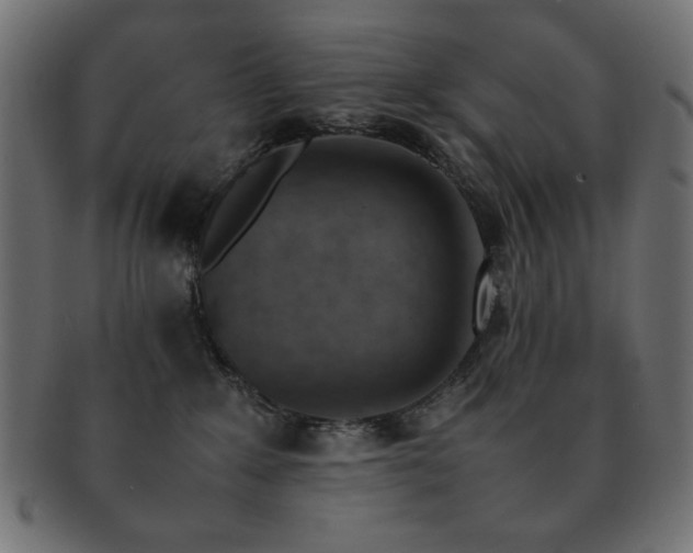 X0000092270235200709141207